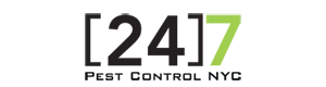 24 Hour Pest Control NYC Image Logo