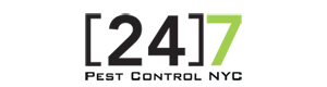 24 Hour Pest Control NYC Logo 24 Hour Pest Control NYC Image Logo