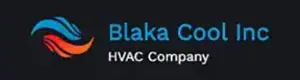 Blaka Cool Inc Logo Blaka Cool Inc Image Logo